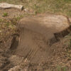 Stump Grinder In Use 6