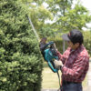 Electric Hedge Trimmer - In Action 1 Electric Hedge Trimmer - In Action 1