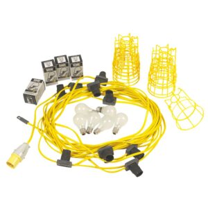 Festoon Lights Festoon Lights for hire