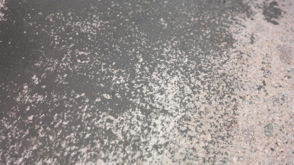 Floor Grinder (Diamond)
