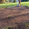 Lawn levelling Rake / Lute - In Action 6