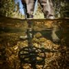 Metal Detector - In Action 3