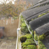 SkyVac Gutter Vacuum - In Action - Before