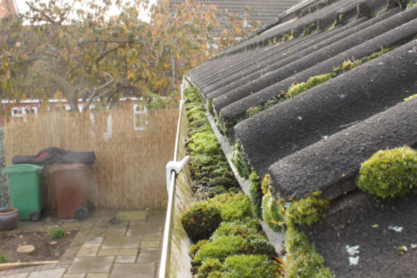 SkyVac Gutter Vacuum - In Action - Before